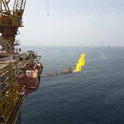 India Refraining from Developing Iran Gas Field due to Sanctions: Zangeneh