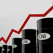Iran’s OPEC envoy: Oil price soon to reach $100 per barrel