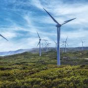GE Renewable Energy Completes Installation of Merkur Offshore Wind Farm