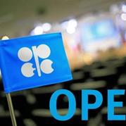 OPEC-NOPEC Deal Swinging in Balance