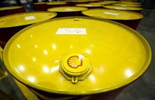 Shell CEO says 'foolhardy' to set carbon reduction targets