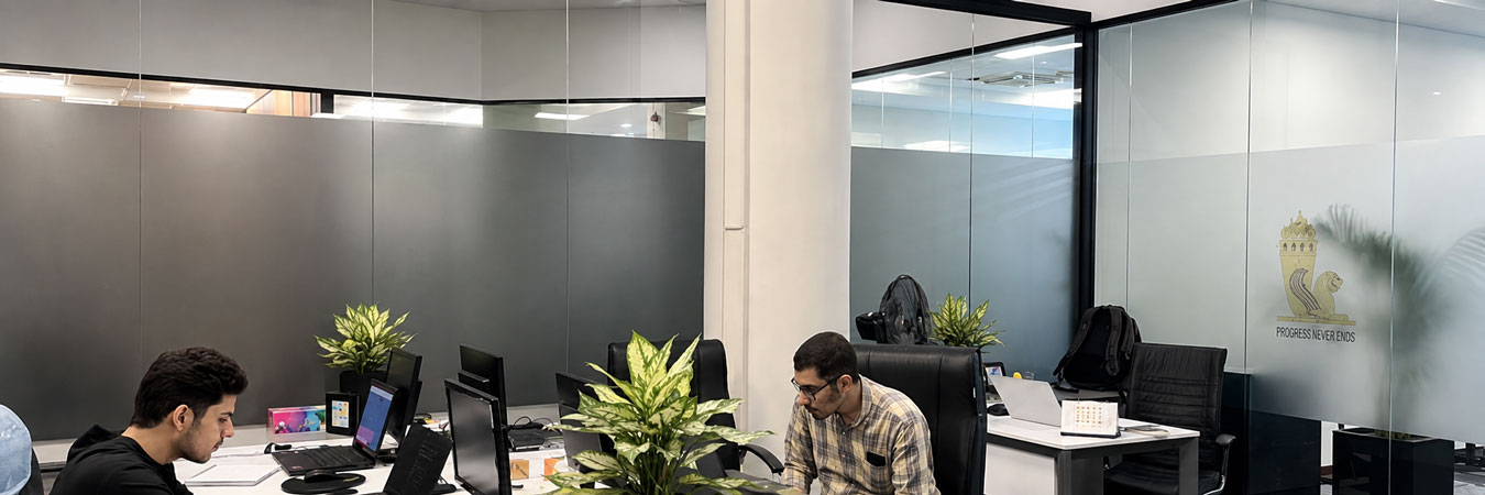 Innovation Teams and Advanced Market Solutions